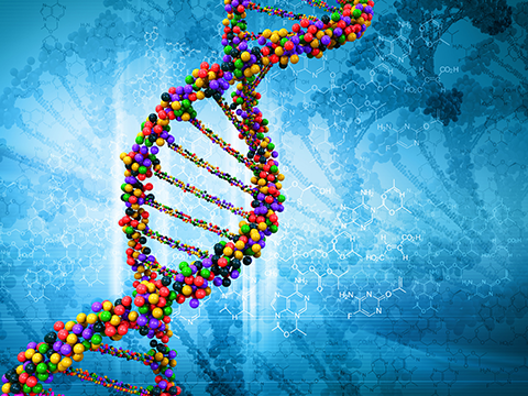 武大生科院教授最新Nature子刊文章：填補miRNA加工